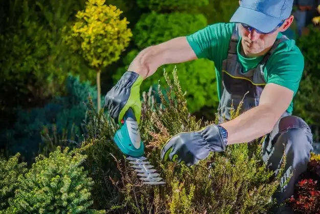 landscaping services Vernon